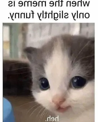 Erra