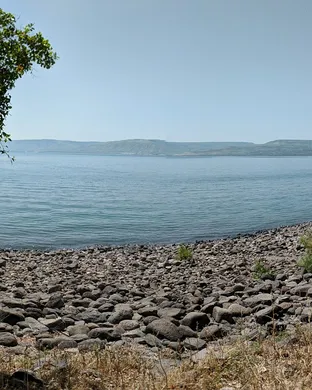 Salebarbes Quebec