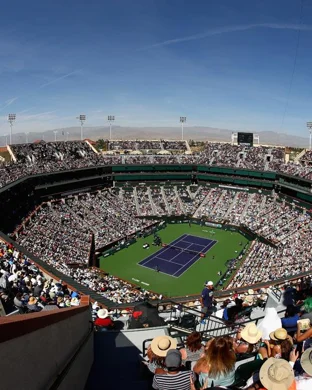 Davis Cup Qualifier